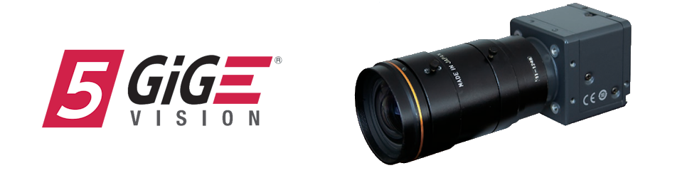 5GigE Vision Progressive Scan Cameras - KP-FMD250GV